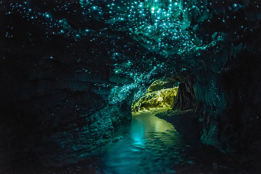Jaskinia Waitomo Glowworm w Nowej Zelandii