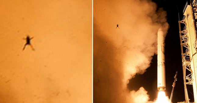 Latająca żaba podczas startu rakiety wynoszącej sondę LADEE. Fot. NASA