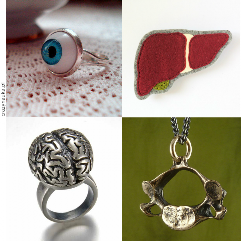 Pomysł na prezent: anatomicznie poprawna biżuteria.