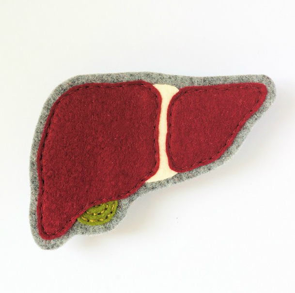 Filcowa wątroba - broszka