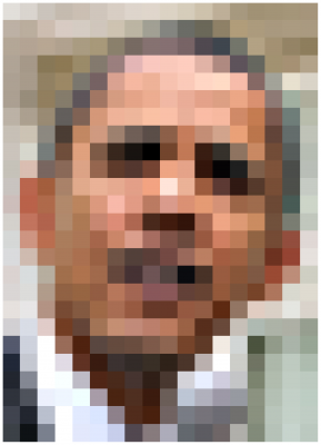 Łatwo rozpoznać tę twarz, choć ma 16x20 pikseli. Fot. Steve Jurvetson