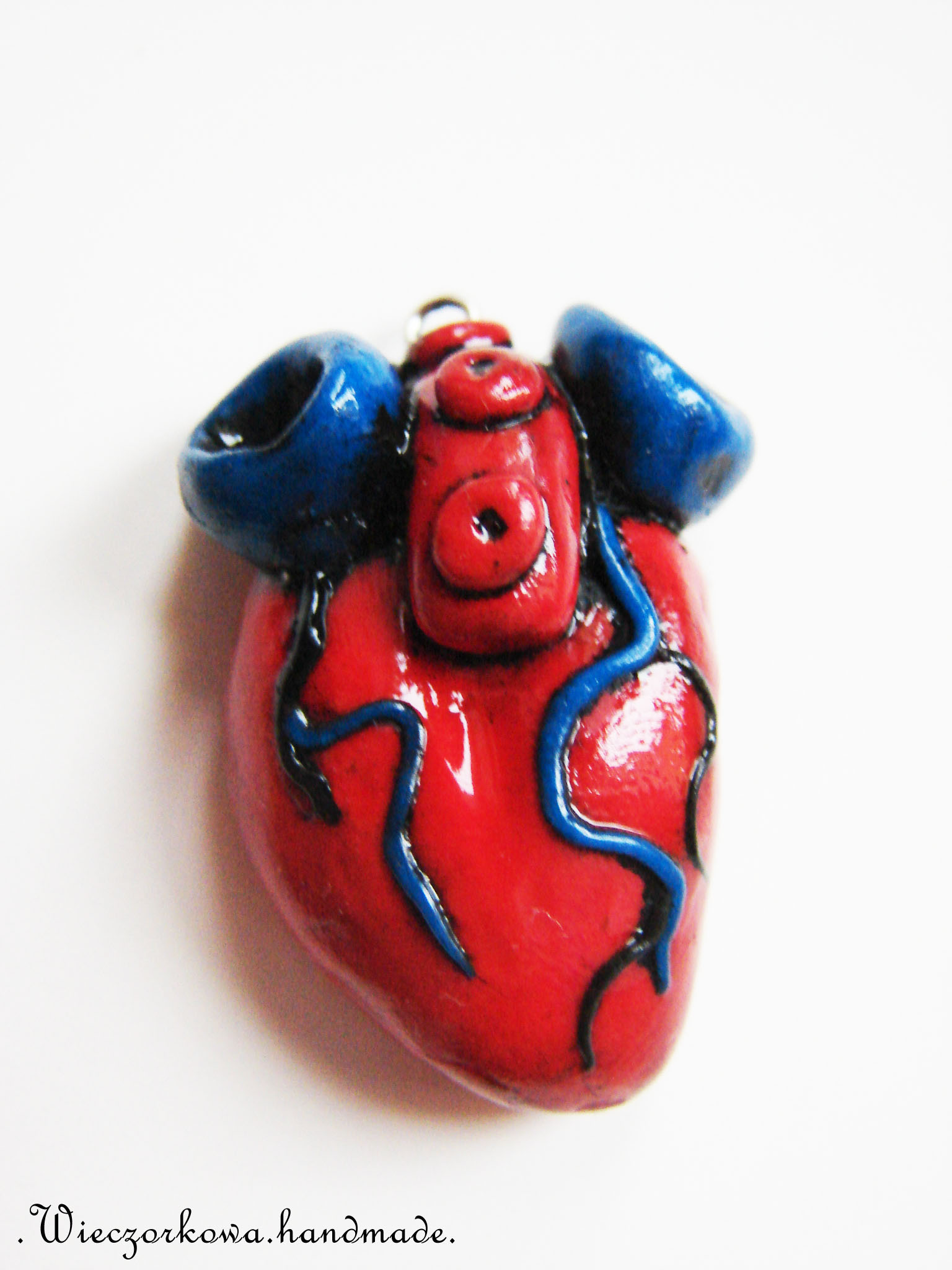 Biżuteria – serce w anatomicznym kształcie – Crazy Nauka