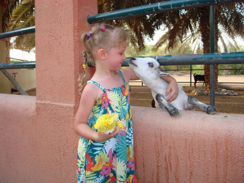 Wizyta w zoo - to się na długo zapamiętuje. Fot. Andrey