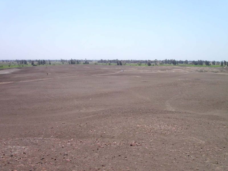 Na zdjęciu widać obraz powierzchni stanowiska okręgu światynnego w Tell el-Balamun w Delcie Nilu w momencie badań. Teren jest nienaruszony łopatą. Fot. Archiwum Tomasza Herbicha