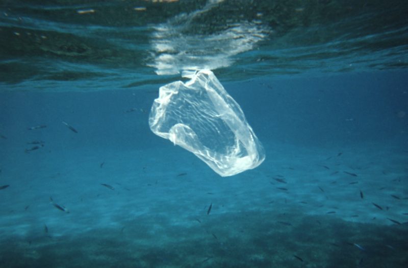 Hawaje zakazują używania toreb foliowych. Tworzywa sztuczne stanowią 80-90 proc. zanieczyszczeń stałych w oceanach. Fot. NOAA