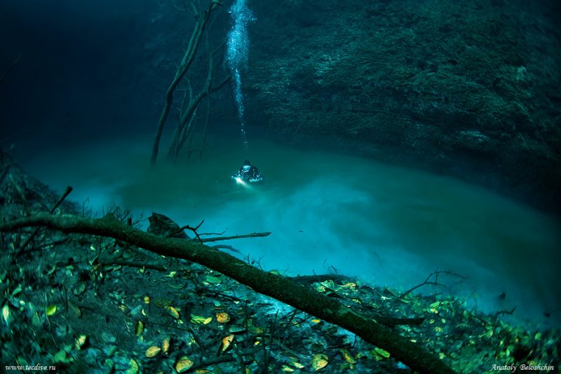 Podwodna rzeka w jaskini Cenote Angelita. Fot. Anatoly Beloshchin