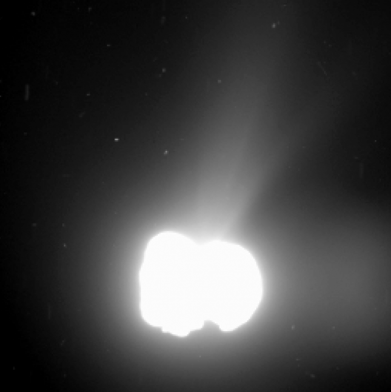 Zdjęcie komety wykonane 2 sierpnia z odległości 550 km. Zdjęcie naświetlano 330 sekund, przez co jej jądro jest prześwietlone. Chodziło jednak o to, by na tak zrobionej fotografii widoczna była aktywność komety – m.in. gaz uchodzący z jej powierzchni. Jeden piksel zdjęcia to 55 metrów. Fot. ESA/Rosetta/MPS for OSIRIS Team MPS/UPD/LAM/IAA/SSO/INTA/UPM/DASP/IDA
