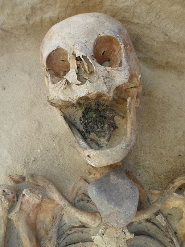 "Wampir" z Drawska - 45-49-letnia kobieta z kamieniem na szyi. Fot. Gregoricka et al.