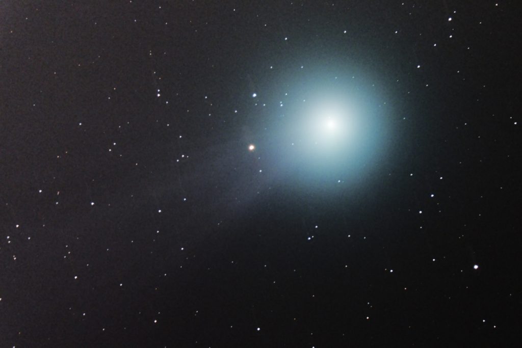 Kometa C/2014 Q2 Lovejoy, 8 stycznia 2015. Fot. jpstanley/Flickr