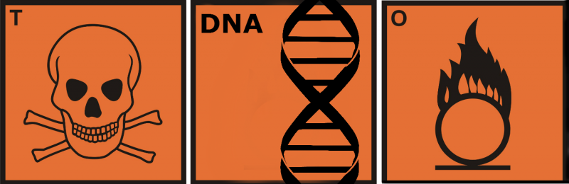 DNA!