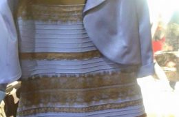 Jaki kolor sukienki? Fot. Caitlin McNeill