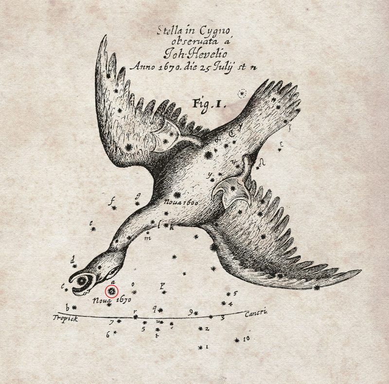Na czerwono zaznaczono położenie nowej jasnej gwiazdy zaobserwowanej w 1670 roku. Rys. Royal Society