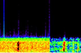 Fragment spektrogramu dźwięku Bloop