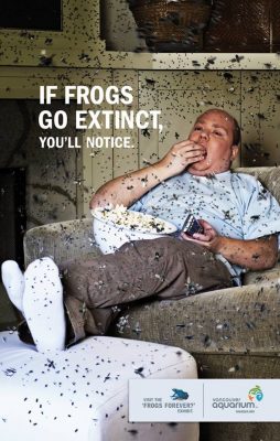 Gdyby wyginęły żaby, zauważyłbyś to. Fot. Vancouver Aquarium