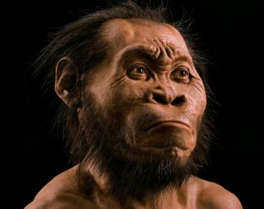Homo naledi - rekonstrukcja twarzy. Fot. MARK THIESSEN, NATIONAL GEOGRAPHIC