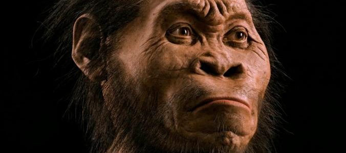 Homo naledi - rekonstrukcja twarzy. Fot. MARK THIESSEN, NATIONAL GEOGRAPHIC