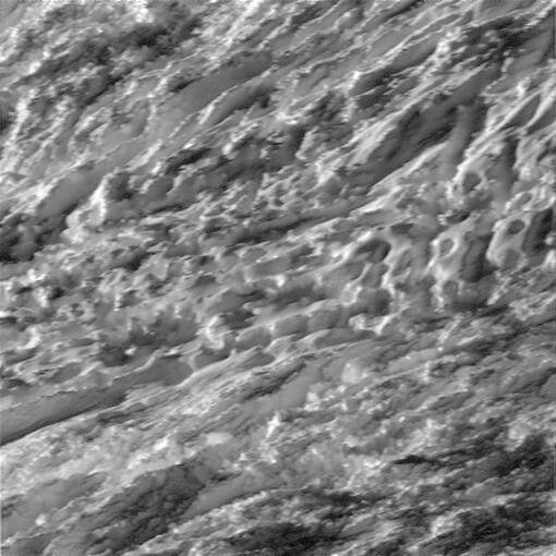 Zbliżenie powierzchni Enceladusa. Zdjęcie zrobiła sonda Cassini z odległości 124 km. Jeden piksel odpowiada około 15 metrom. Fot. NASA/JPL-Caltech/Space Science Institute