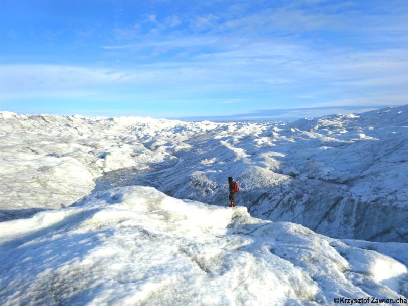 Grenlandia. Fot. Krzysztof Zawierucha