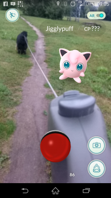 Z Mikrą na spacerze. Fot. Crazy Nauka