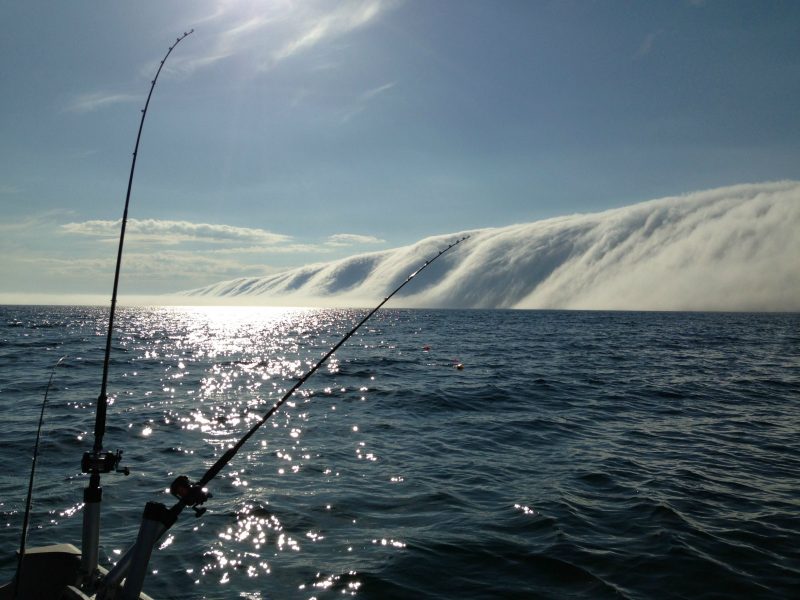 Mgła adwekcyjna nad jeziorem Michigan. Fot. Andrew Ballard/Imgur