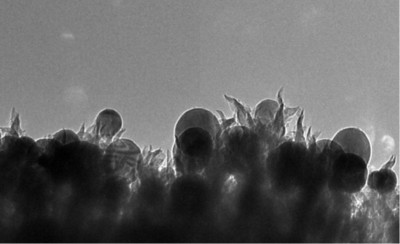 Tak wyglądają "nanokolce" zbudowane z atomów azotu w osłonce węglowej, zwieńczone kulką miedzi osadzoną na szczycie. Fot. ORNL