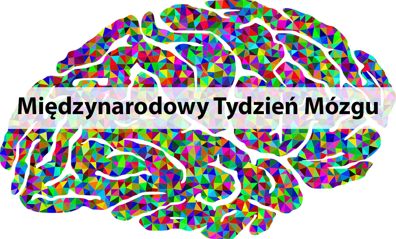 Dziś zaczyna się Międzynarodowy Tydzień Mózgu. Co warto robić? – Crazy Nauka