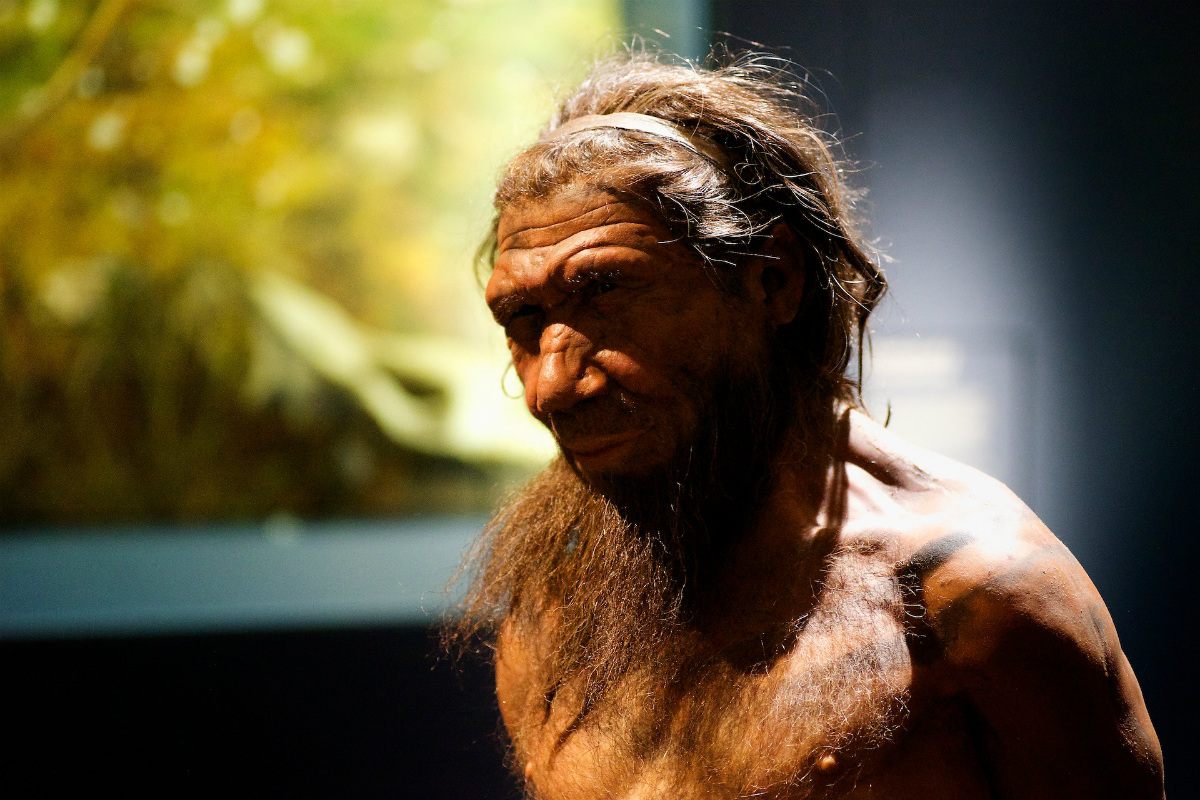 Польща: Найдавніші залишки неандертальців